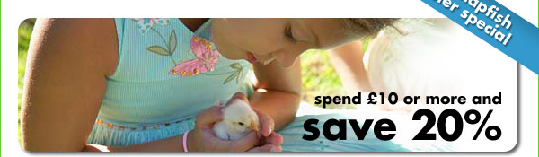 spend �10 or more and save 20%